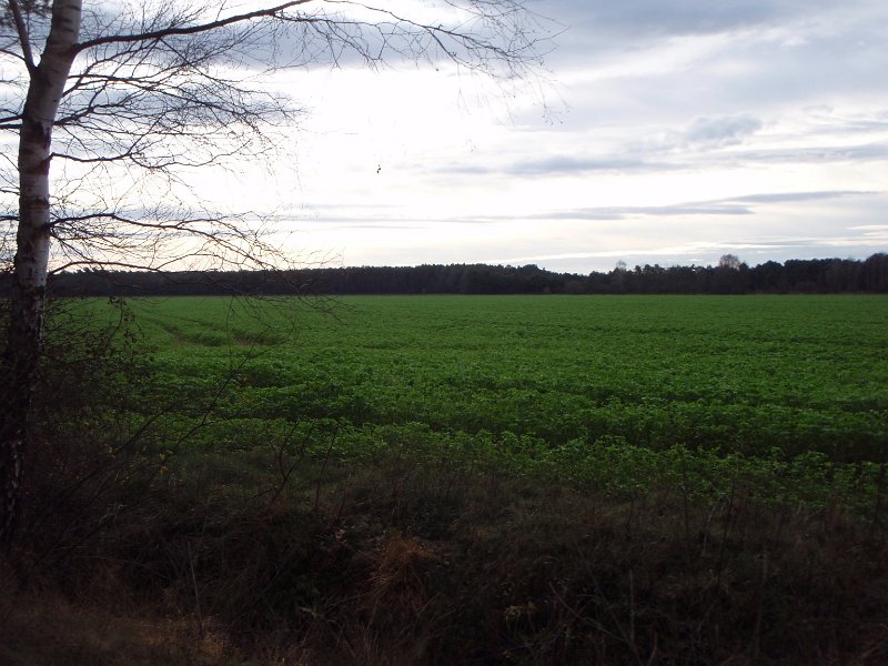 CTF Celle 086